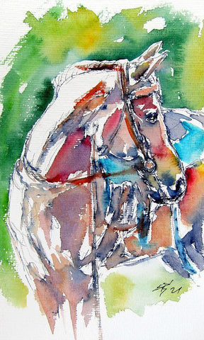 Horse White Modern Wood Framed Art Print with Double Matting by Kovacs, Anna Brigite