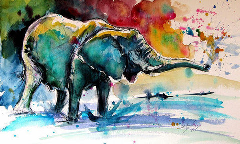 Elephant in Water White Modern Wood Framed Art Print with Double Matting by Kovacs, Anna Brigite