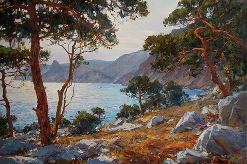 Rocky Coast VII White Modern Wood Framed Art Print with Double Matting by Sviridov, Sergei