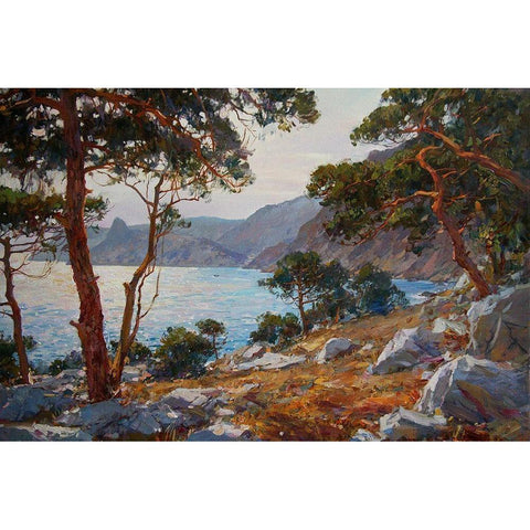 Rocky Coast VII Black Modern Wood Framed Art Print with Double Matting by Sviridov, Sergei