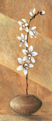 Orchids I White Modern Wood Framed Art Print with Double Matting by Dahlke, Izabella