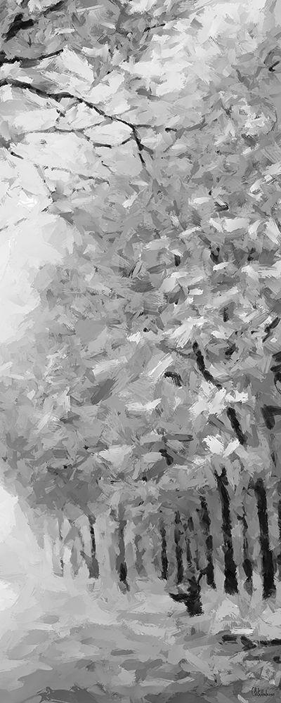 Image Only