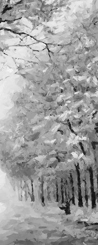 Trees by the Road II BW Black Ornate Wood Framed Art Print with Double Matting by Medeiros, Celito