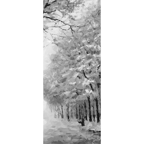 Trees by the Road II BW Gold Ornate Wood Framed Art Print with Double Matting by Medeiros, Celito