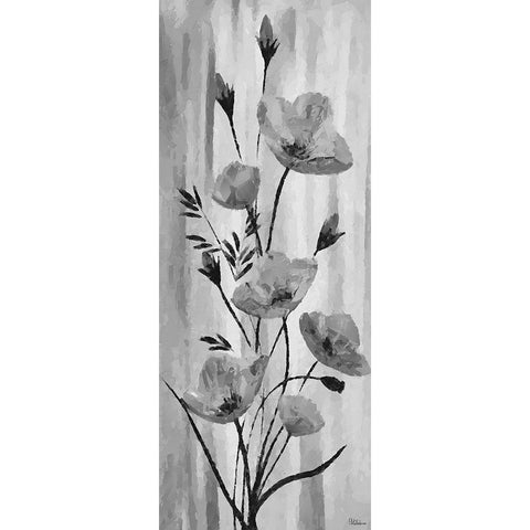 Flower BW Black Modern Wood Framed Art Print with Double Matting by Medeiros, Celito