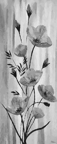 Flower BW White Modern Wood Framed Art Print with Double Matting by Medeiros, Celito