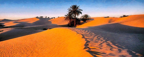 Palms in Desert White Modern Wood Framed Art Print with Double Matting by Medeiros, Celito
