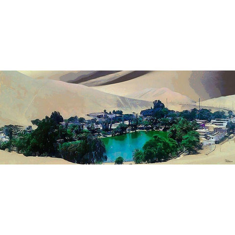 Big Oasis in Desert Black Modern Wood Framed Art Print with Double Matting by Medeiros, Celito