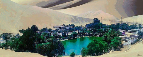Big Oasis in Desert Black Ornate Wood Framed Art Print with Double Matting by Medeiros, Celito