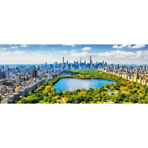 View to the Central Park V Black Modern Wood Framed Art Print with Double Matting by Medeiros, Celito