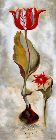 Red Tulip I White Modern Wood Framed Art Print with Double Matting by Medeiros, Celito