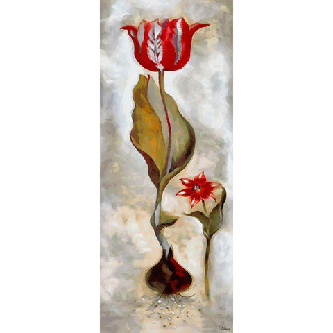 Red Tulip I Black Modern Wood Framed Art Print by Medeiros, Celito