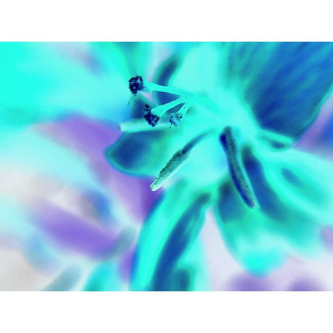 Turquoise Petals White Modern Wood Framed Art Print by Grayscale