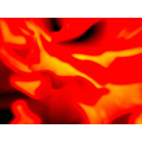 Red Petal I Black Modern Wood Framed Art Print with Double Matting by Grayscale