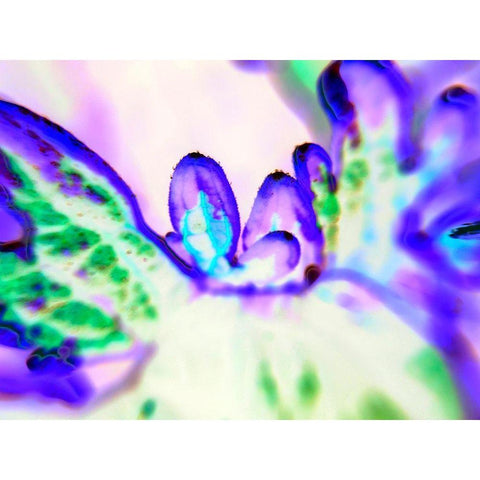 Biologic II White Modern Wood Framed Art Print by Grayscale