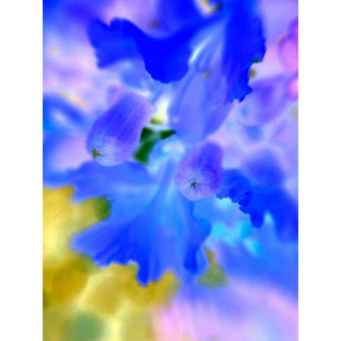 Lacy Edges Black Modern Wood Framed Art Print with Double Matting by Grayscale