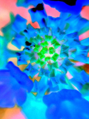 Radial Bowties IV Black Ornate Wood Framed Art Print with Double Matting by Grayscale