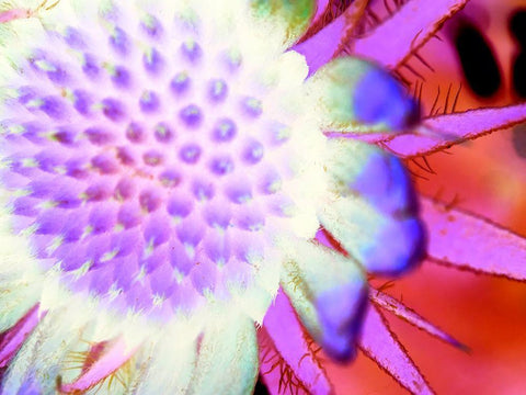 Natural Glow I White Modern Wood Framed Art Print with Double Matting by Grayscale