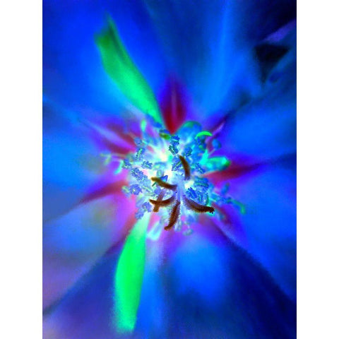 Nexus I Gold Ornate Wood Framed Art Print with Double Matting by Grayscale