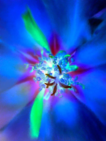 Nexus I White Modern Wood Framed Art Print with Double Matting by Grayscale