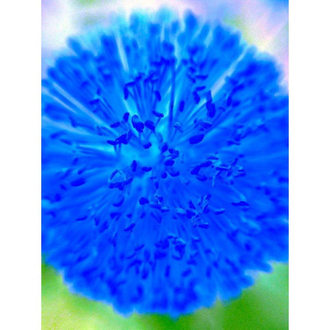 Blue Ball I Black Modern Wood Framed Art Print with Double Matting by Grayscale