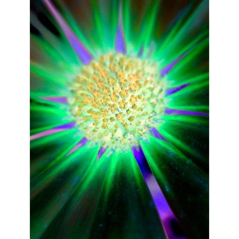 Nexus II Gold Ornate Wood Framed Art Print with Double Matting by Grayscale