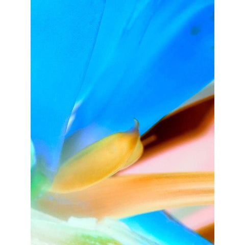 Blue Leaves II Black Modern Wood Framed Art Print with Double Matting by Grayscale