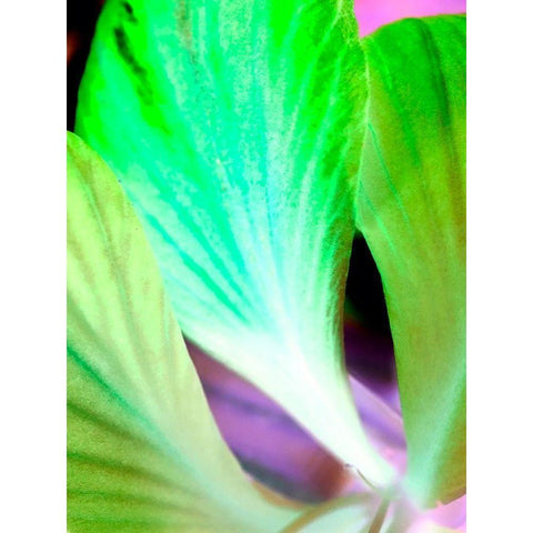 Green Leaves I Gold Ornate Wood Framed Art Print with Double Matting by Grayscale