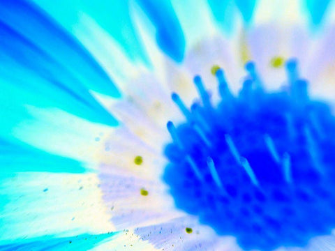 Natural Glow III Black Ornate Wood Framed Art Print with Double Matting by Grayscale