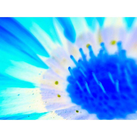 Natural Glow III White Modern Wood Framed Art Print by Grayscale