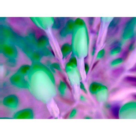 Natural Particles I Gold Ornate Wood Framed Art Print with Double Matting by Grayscale