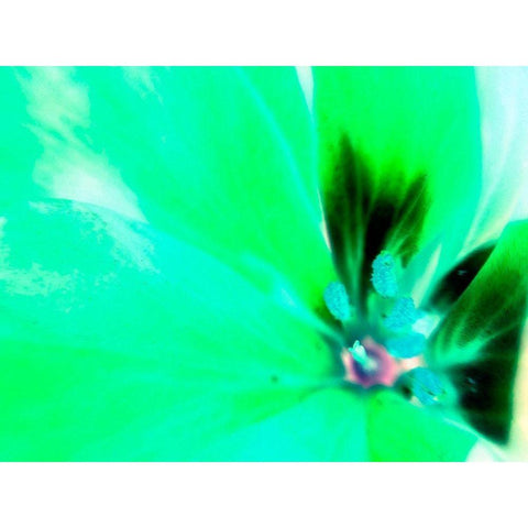 Green Leaves III Black Modern Wood Framed Art Print with Double Matting by Grayscale