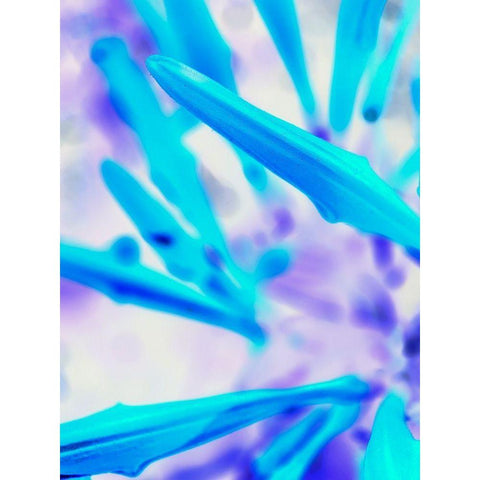 Blue Spines I Black Modern Wood Framed Art Print with Double Matting by Grayscale