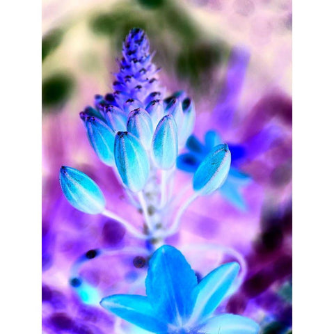 Infra Flower I Gold Ornate Wood Framed Art Print with Double Matting by Grayscale