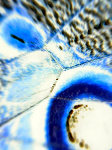 Stained Wing I White Modern Wood Framed Art Print with Double Matting by Grayscale