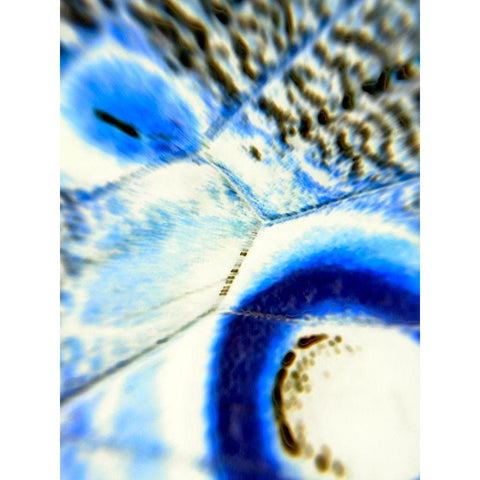 Stained Wing I White Modern Wood Framed Art Print by Grayscale