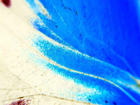 Stained Wing II White Modern Wood Framed Art Print with Double Matting by Grayscale