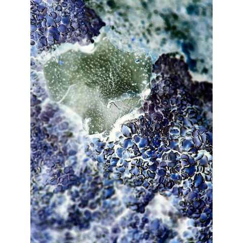 Texture Group I Gold Ornate Wood Framed Art Print with Double Matting by Grayscale