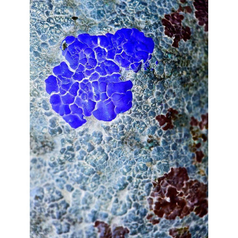 Texture Group IV Black Modern Wood Framed Art Print with Double Matting by Grayscale