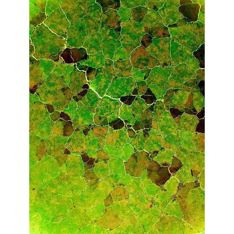 Natural Puzzles I White Modern Wood Framed Art Print by Grayscale