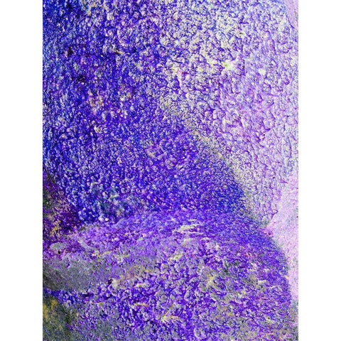 Purple Foam Black Modern Wood Framed Art Print with Double Matting by Grayscale