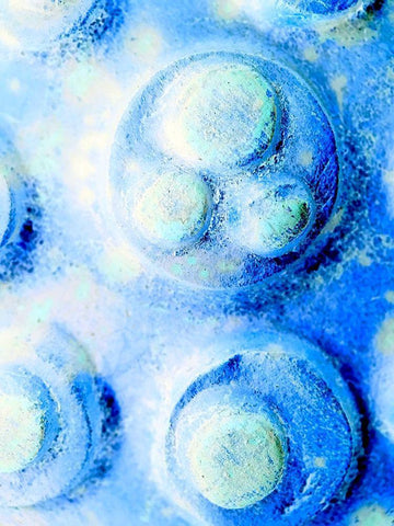 Blue Cells I White Modern Wood Framed Art Print with Double Matting by Grayscale
