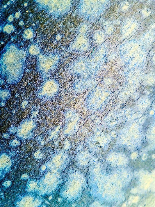 Image Only