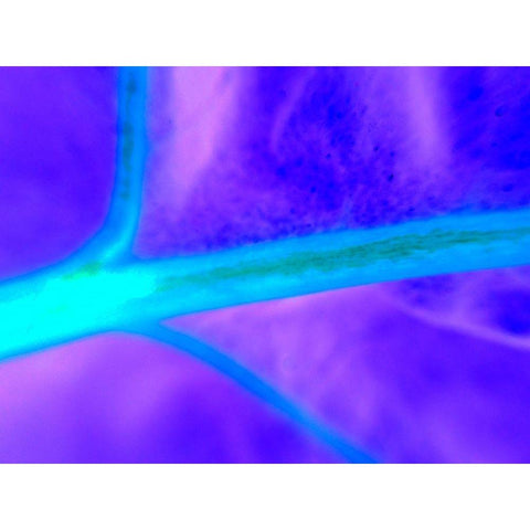 Energy Connection I Gold Ornate Wood Framed Art Print with Double Matting by Grayscale