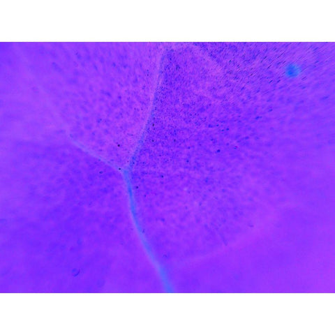 Energy Connection III Gold Ornate Wood Framed Art Print with Double Matting by Grayscale