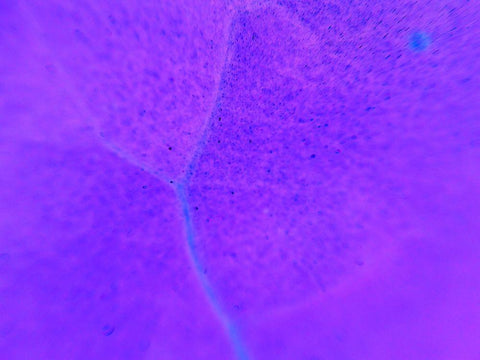 Energy Connection III Black Ornate Wood Framed Art Print with Double Matting by Grayscale