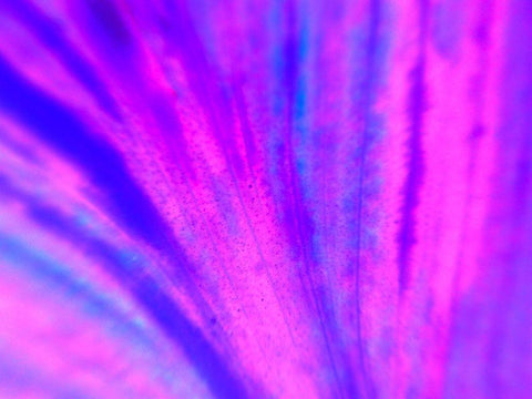 Energy Connection IV Black Ornate Wood Framed Art Print with Double Matting by Grayscale