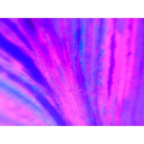 Energy Connection IV Black Modern Wood Framed Art Print with Double Matting by Grayscale