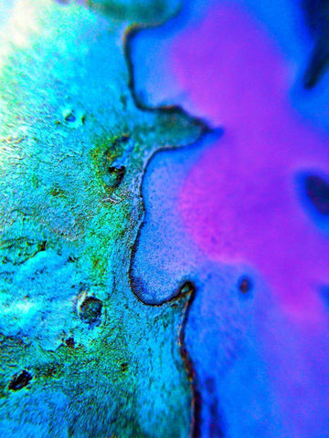 Natural Boundary I White Modern Wood Framed Art Print with Double Matting by Grayscale