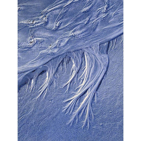 Blue Fibers III White Modern Wood Framed Art Print by Grayscale
